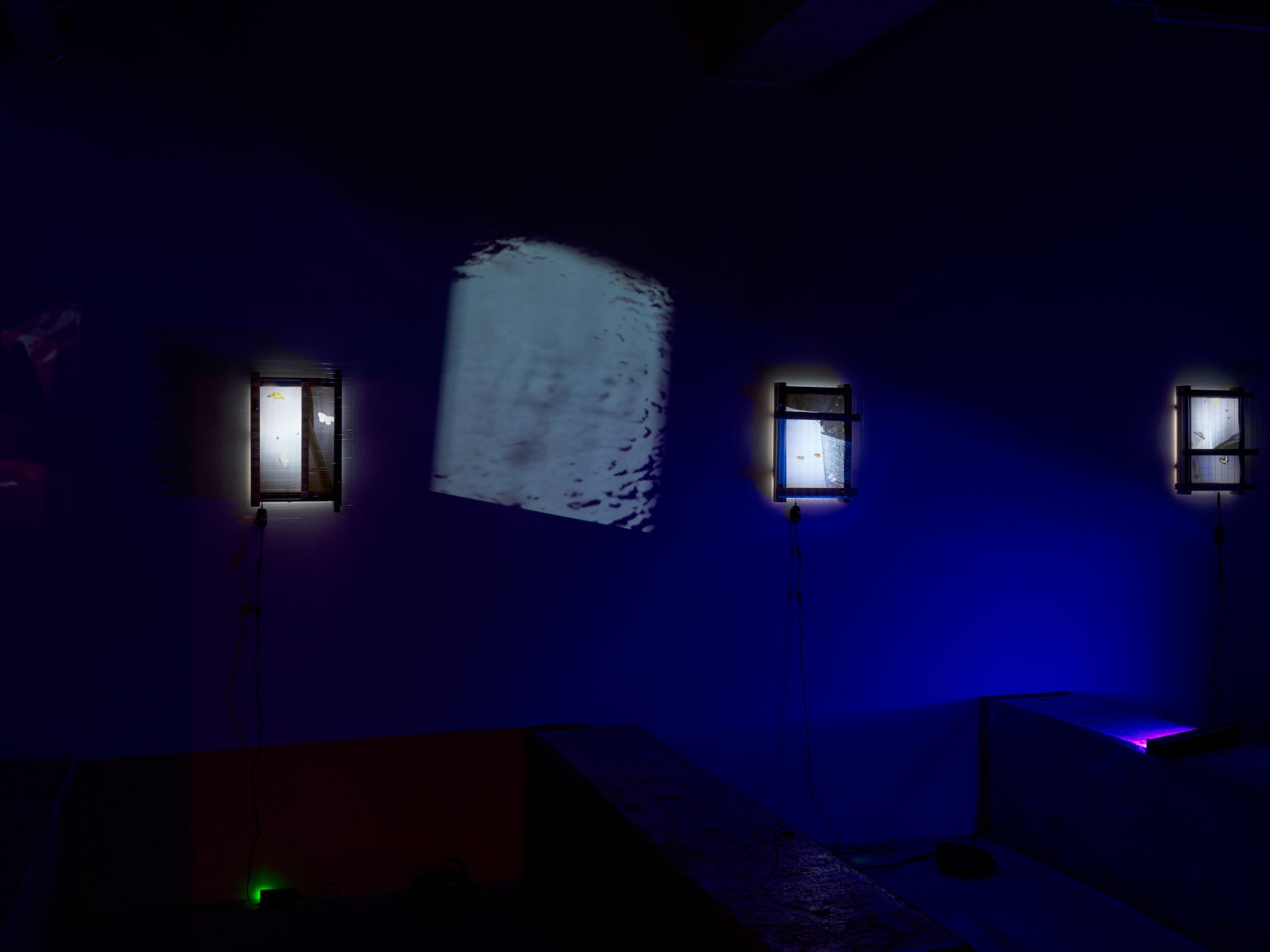 DARK — 2025 — Tokyo — by Sander Wassink