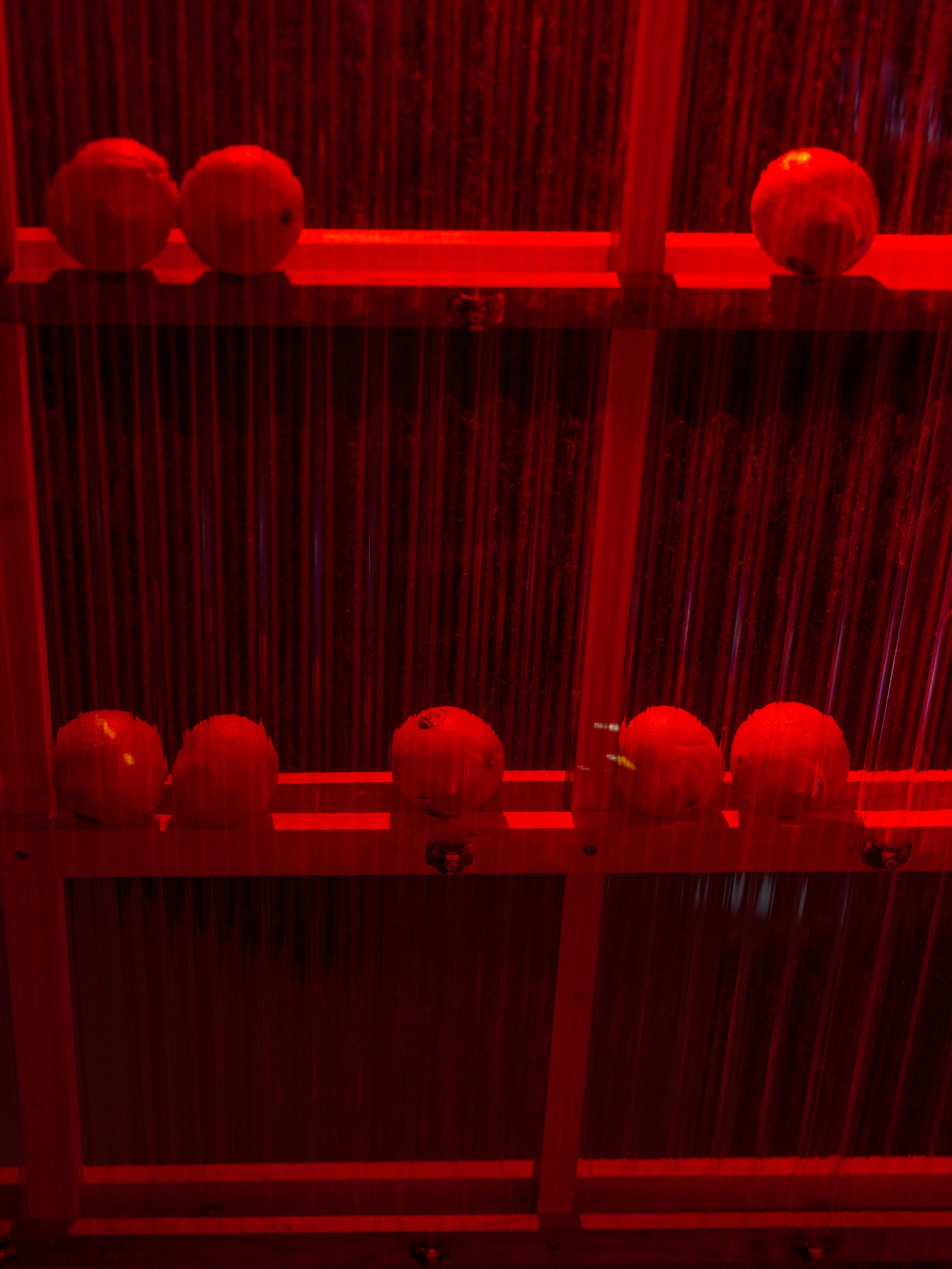 DARK — 2025 — Tokyo — by Sander Wassink