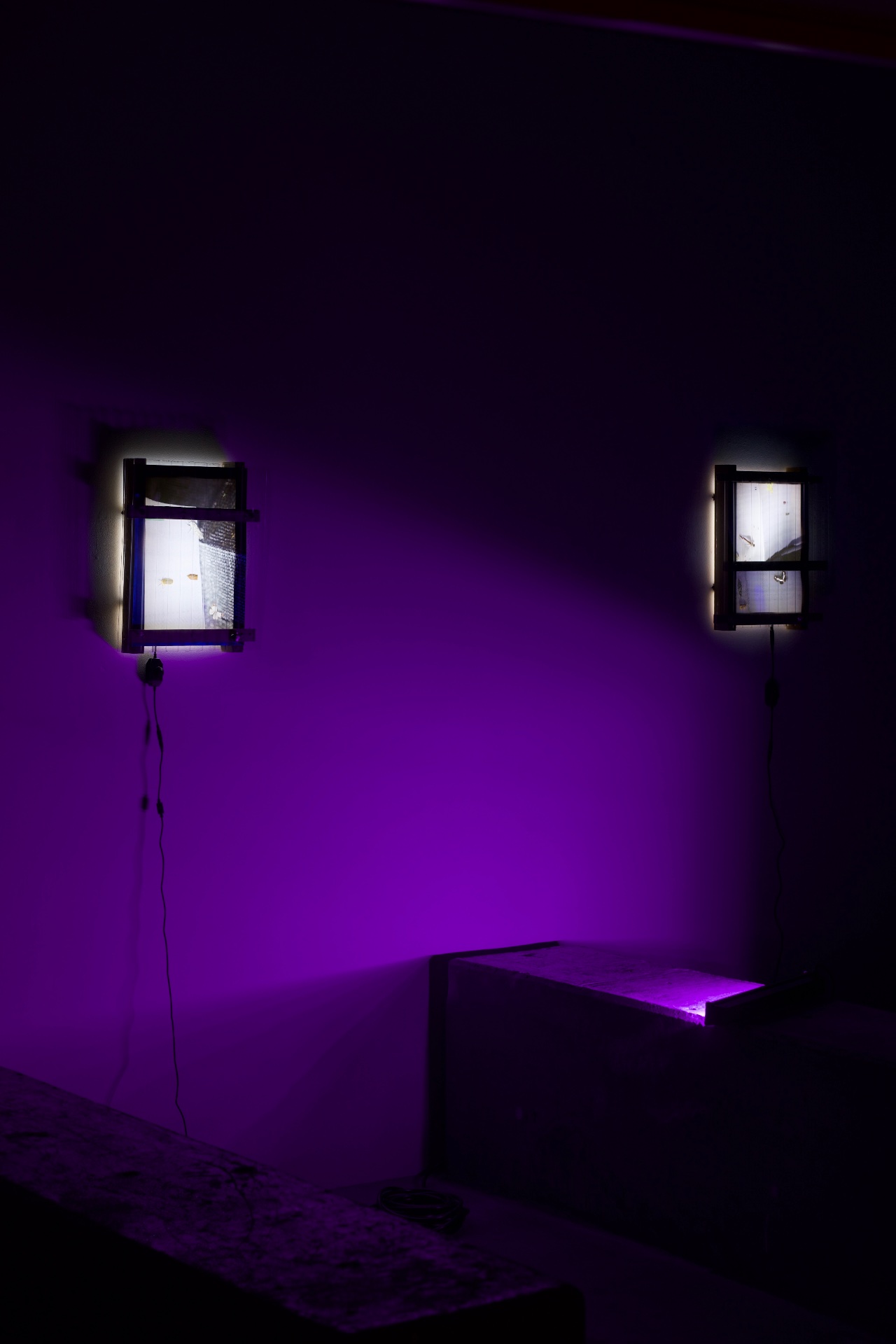 DARK — 2025 — Tokyo — by Sander Wassink