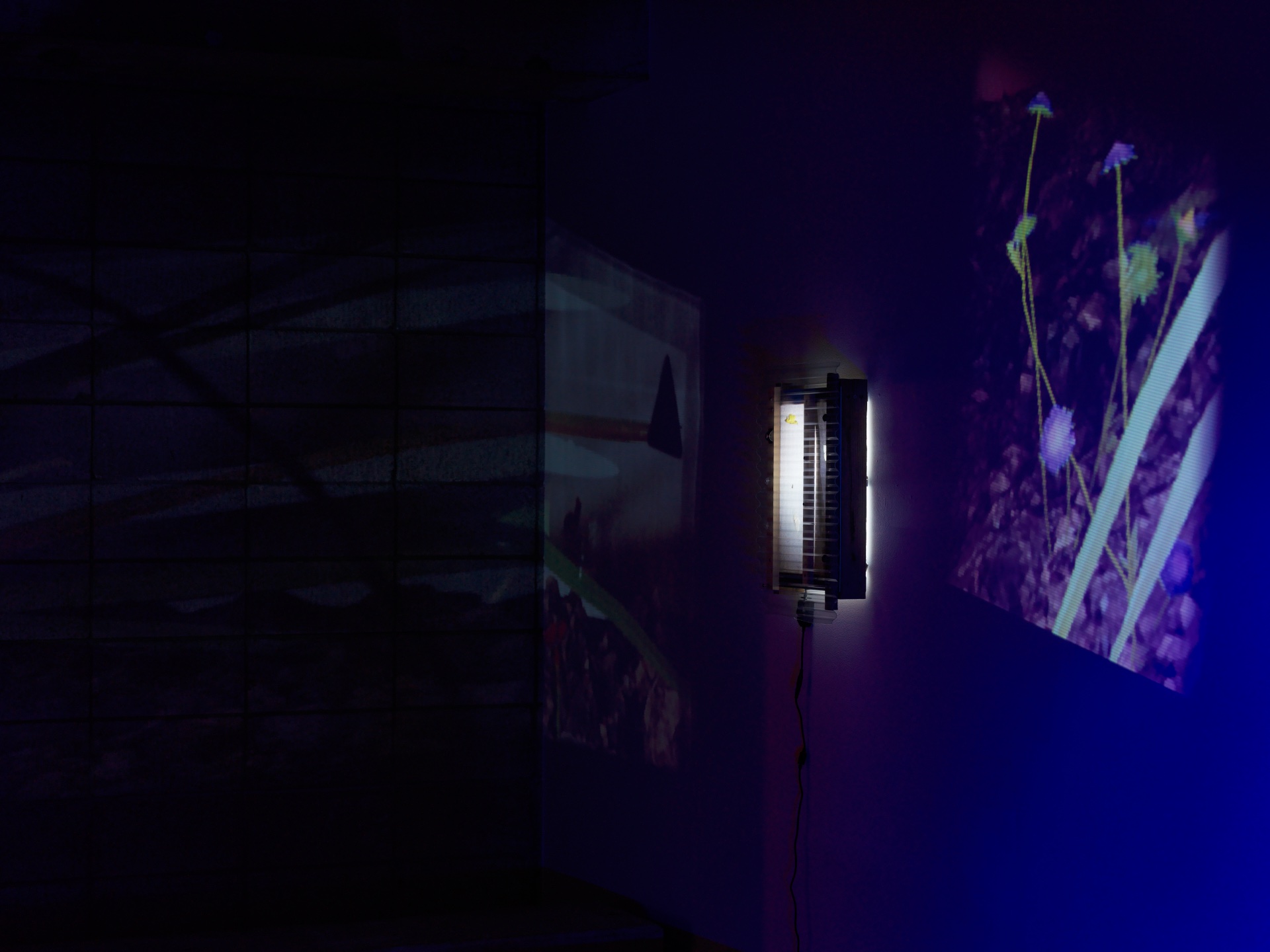 DARK — 2025 — Tokyo — by Sander Wassink