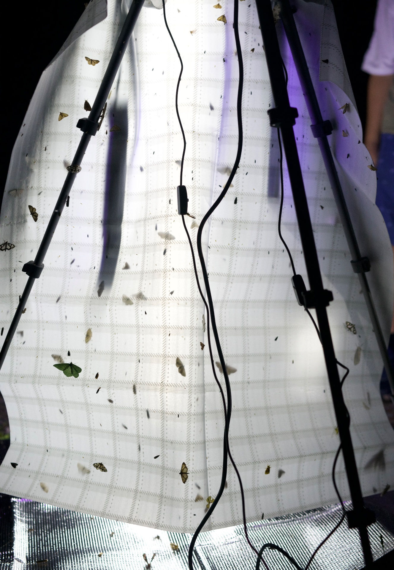 DARK — 2024 — A moth-attraction setup in the mountains of Nagano. — Tokyo — by Sander Wassink — photo Sander Wassink