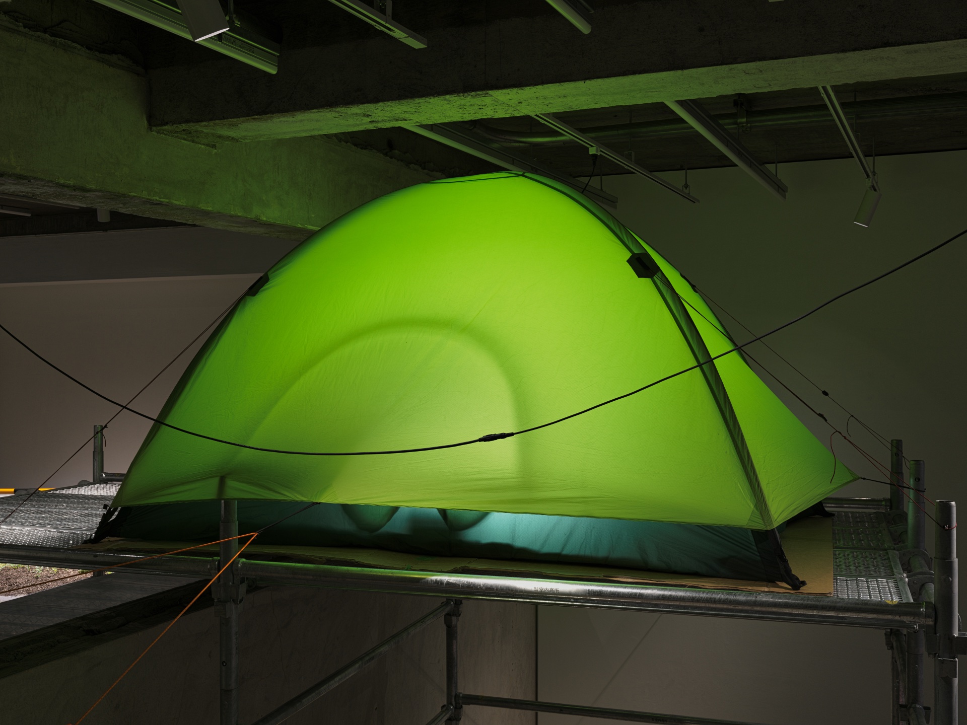 Between Pixel and particle — 2024 — Tokyo — by Sander Wassink