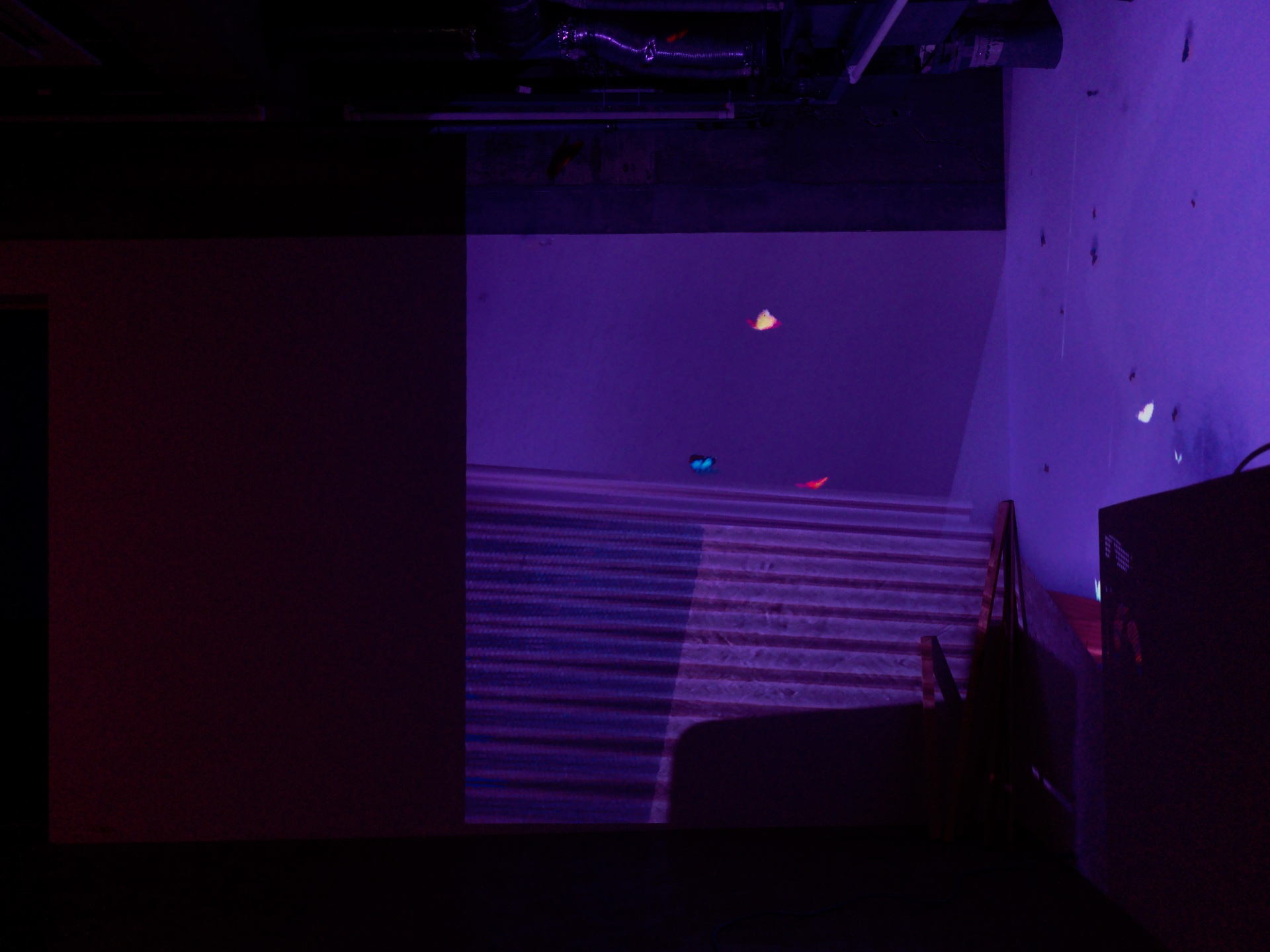 DARK — 2025 — Tokyo — by Sander Wassink