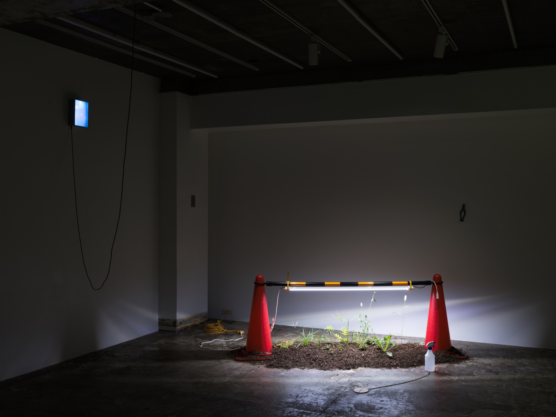 Between Pixel and particle — 2024 — Tokyo — by Sander Wassink