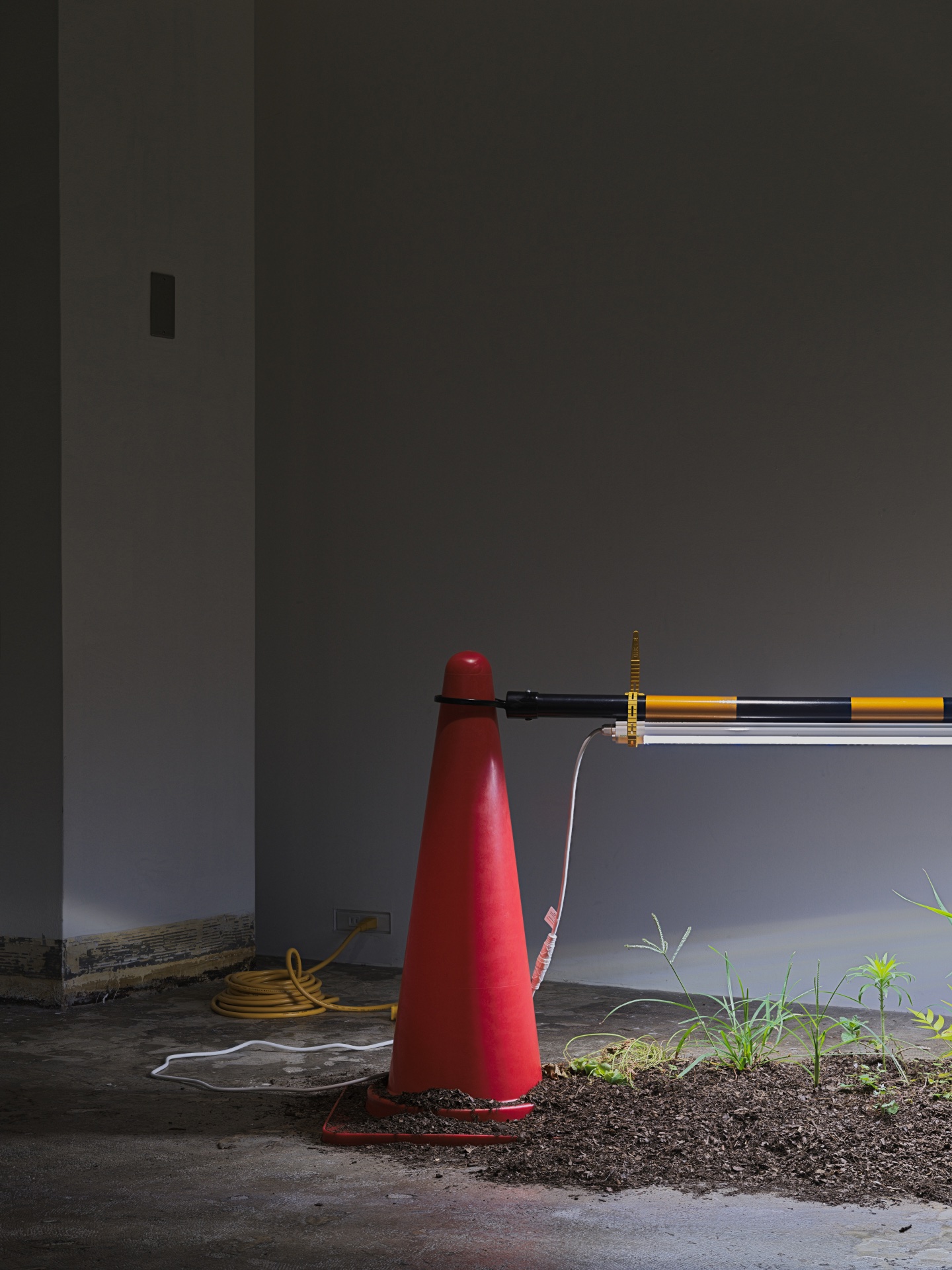 Between Pixel and particle — 2024 — Tokyo — by Sander Wassink