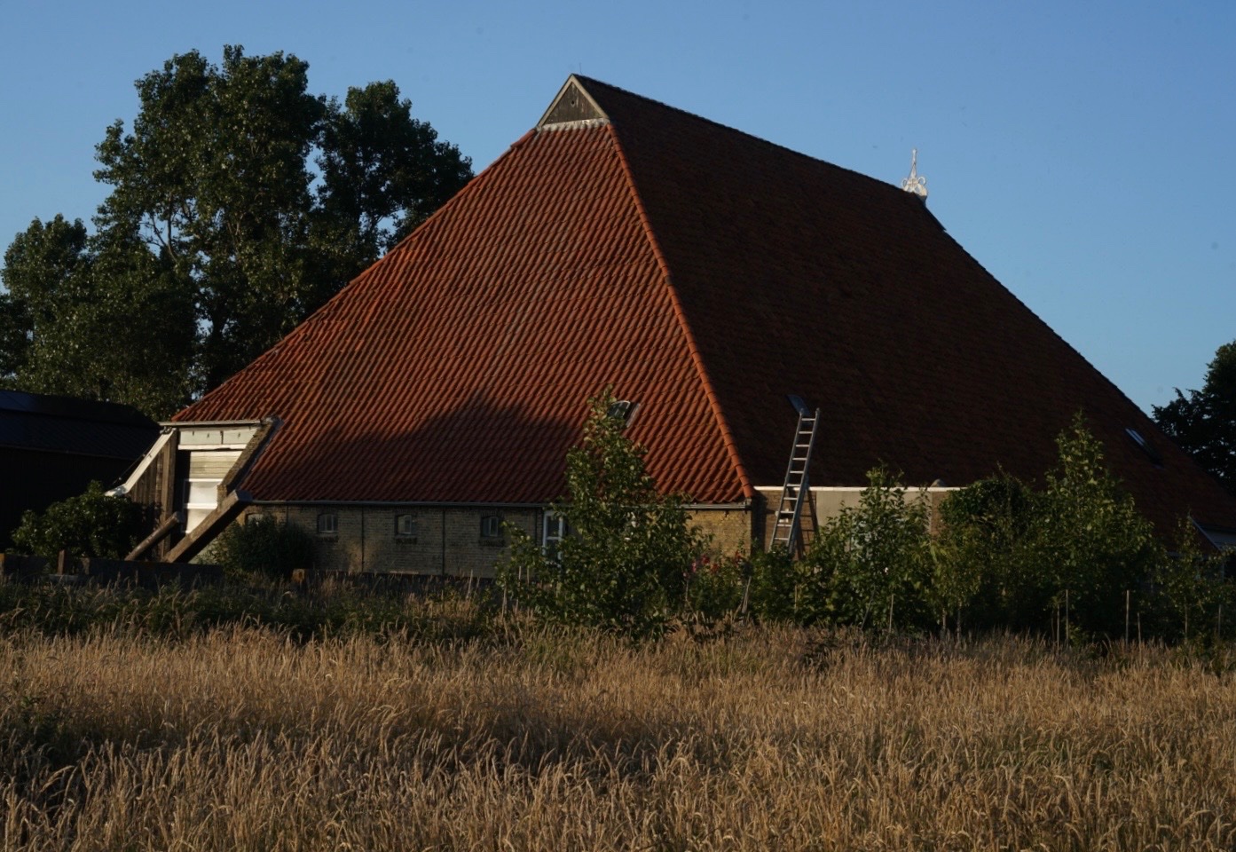 REST — 2025 — Main farmhouse on the land — Mirns — by Sander Wassink — photo Sander Wassink
