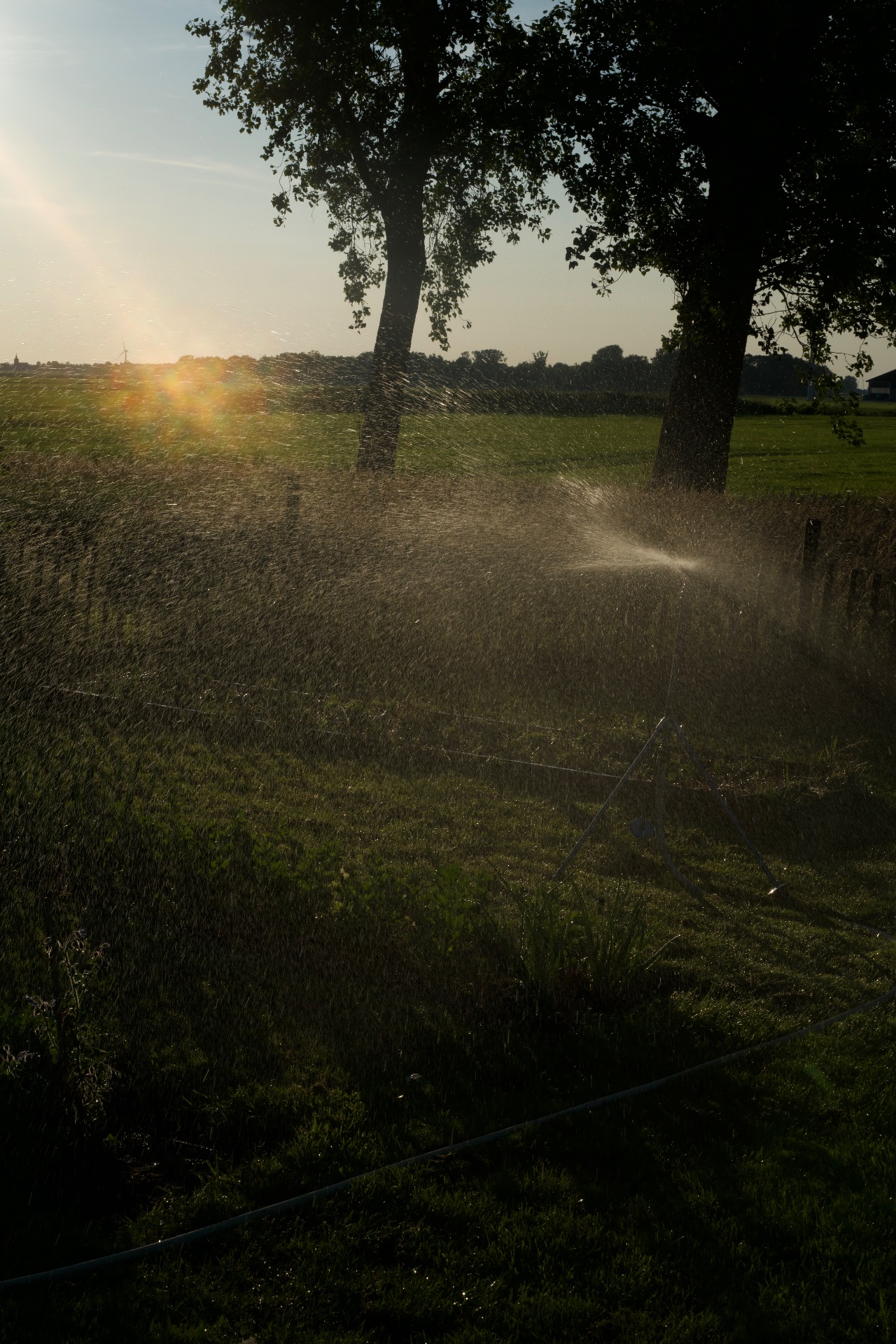 LAND, LABOR, LOVE — 2025 — Mirns — by Sander Wassink