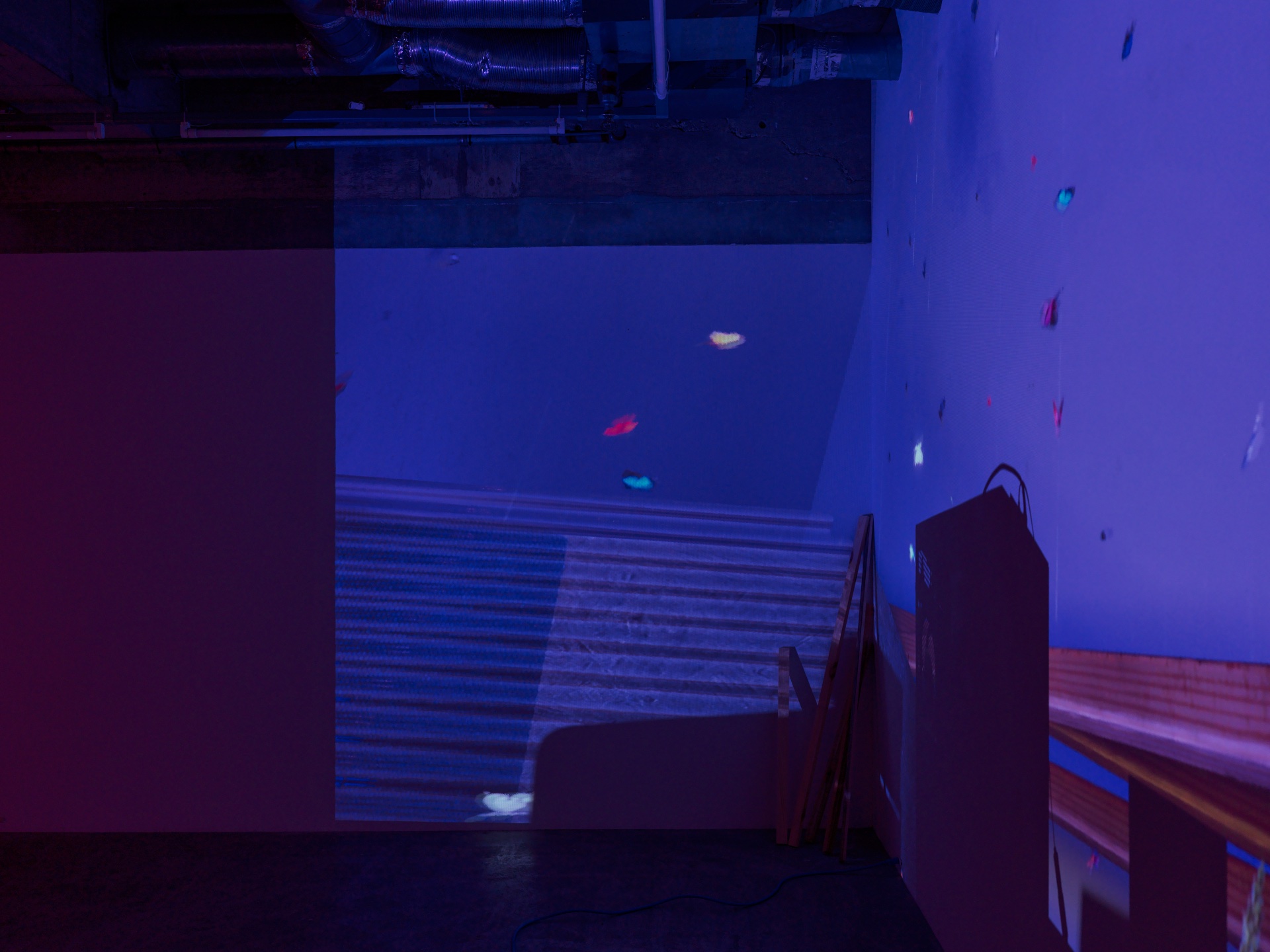 DARK — 2025 — Tokyo — by Sander Wassink