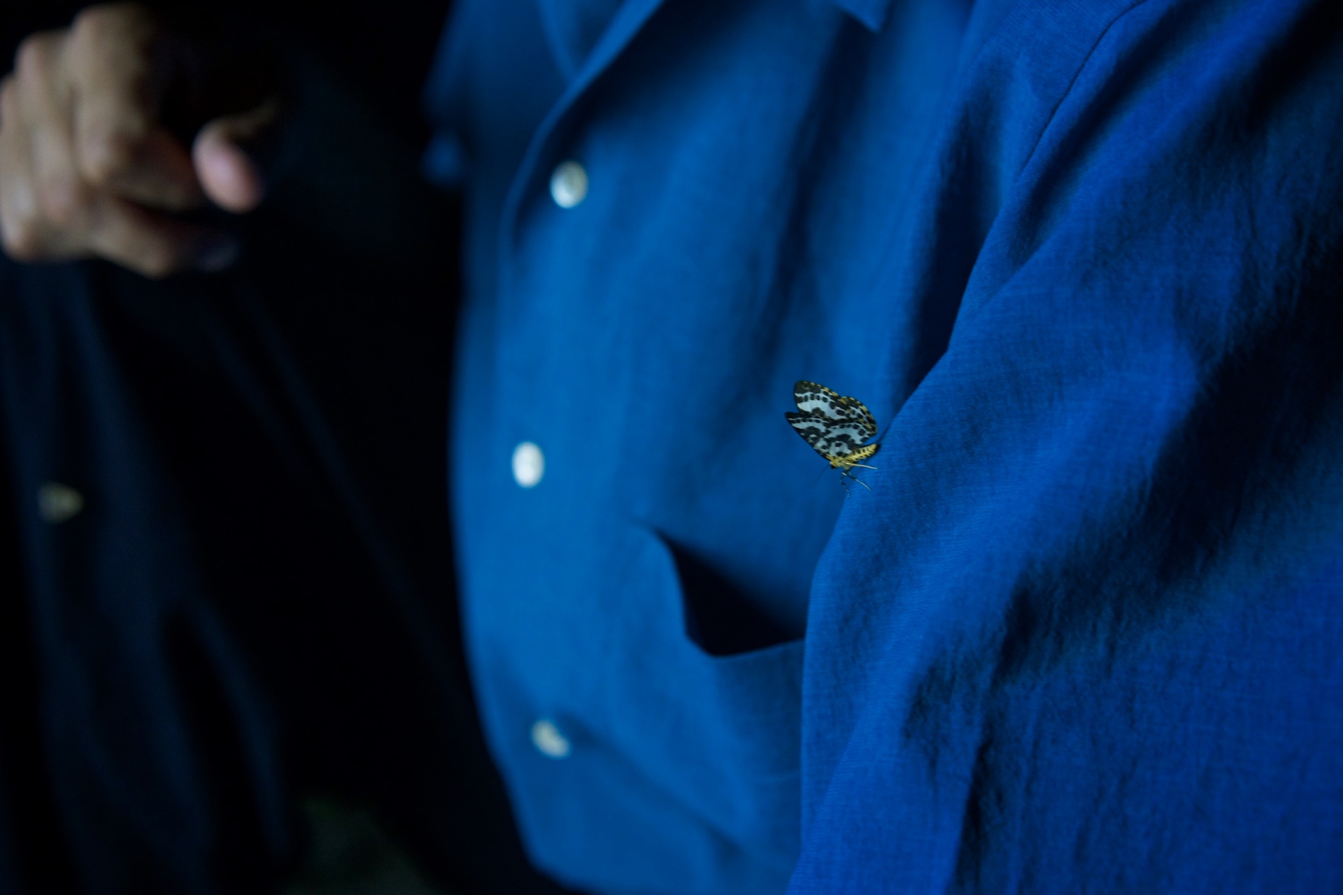 DARK — 2024 — Research in the Mountains of Nagano — Nagano — by Sander Wassink — photo Yoriko Ishizawa