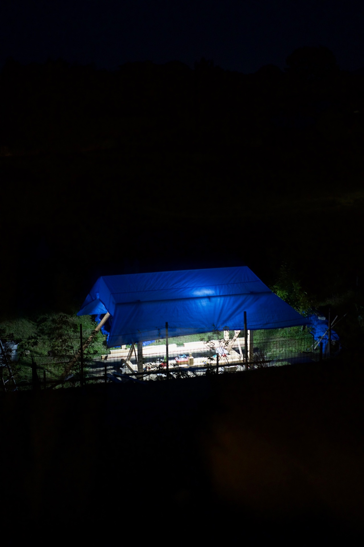 Temporary outdoor workshop — 2025 — Developed during the production of the solo exhibition DARK Tokyo, focused on researching outdoor insects. — Nara — by Sander Wassink — photo Sander Wassink
