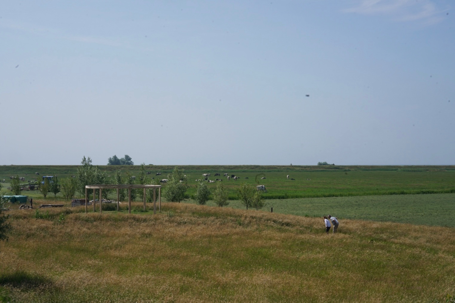 REST — 2025 — The view of the dyke seen from the main farmhouse — Mirns — by Sander Wassink — photo Studio Sander Wassink